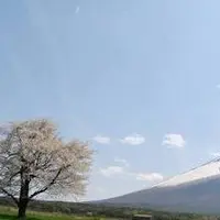 岩手山（南部片富士）の写真・動画_image_165056