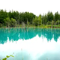 青い池の写真・動画_image_1662769