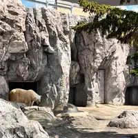 旭川市 旭山動物園の写真・動画_image_1662925
