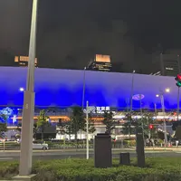 東京駅の写真・動画_image_1663786
