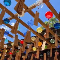 川越氷川神社の写真・動画_image_1669141