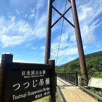 つつじ吊橋の写真・動画_image_1676024