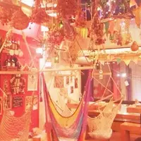松の木食堂の写真・動画_image_168522