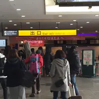 ガーラ湯沢駅の写真・動画_image_169397