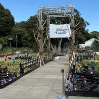 江の島サムエル・コッキング苑の写真・動画_image_1699147