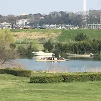 矢切の渡しの写真・動画_image_171222