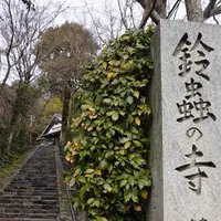 鈴虫寺（華厳寺）の写真・動画_image_171725