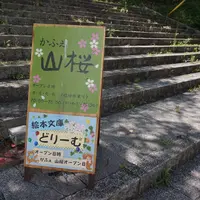 【閉業】かふぇ 山桜の写真・動画_image_172004