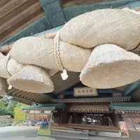 出雲大社 神楽殿の写真・動画_image_1722210