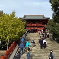 鶴岡八幡宮の写真・動画_image_1722741