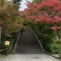 円覚寺の写真・動画_image_1722753
