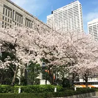 東京都庁の写真・動画_image_173321