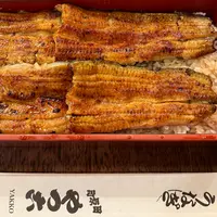 鰻 やっこの写真・動画_image_1738165