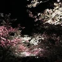 神戸市立王子動物園の写真・動画_image_173905