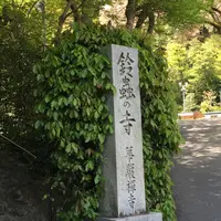 鈴虫寺（華厳寺）の写真・動画_image_174478