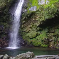 琵琶の滝の写真・動画_image_174844