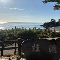 桂浜の写真・動画_image_1750045