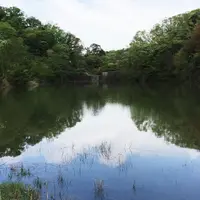 篠田砂防池の写真・動画_image_175102