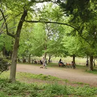 善福寺公園の写真・動画_image_175505