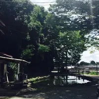 多摩川養殖つり堀場の写真・動画_image_178725