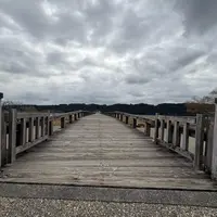 蓬莱橋の写真・動画_image_1789587
