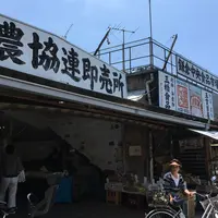 鎌倉市農協連即売所の写真・動画_image_181292