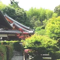 鈴虫寺（華厳寺）の写真・動画_image_181983