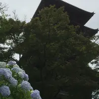 備中国分寺の写真・動画_image_183540
