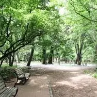 都立林試の森公園の写真・動画_image_183670