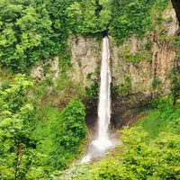 白水の滝の写真・動画_image_184244