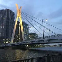 中央大橋の写真・動画_image_185627