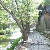 八幡川緑地の写真・動画_image_187016