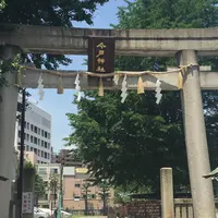 今戸神社の写真・動画_image_188552