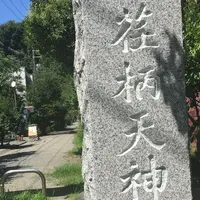 荏柄天神社の写真・動画_image_189093