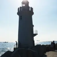 伊良湖岬の写真・動画_image_191993