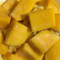 綠豆蒜啥咪の写真・動画_image_192143