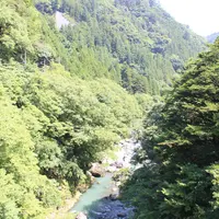 惣岳渓谷の写真・動画_image_192599