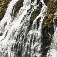 しらひげの滝の写真・動画_image_196168