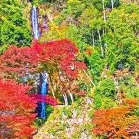 五宝滝公園の写真・動画_image_196256