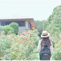 京都府立植物園の写真・動画_image_199177