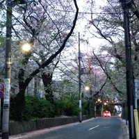 桜坂の写真・動画_image_200106