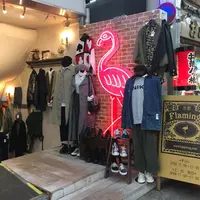 フラミンゴ京都店の写真・動画_image_201732