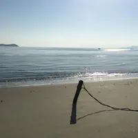 潮干狩り（形原海岸）の写真・動画_image_202443