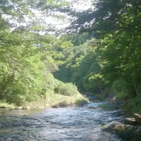 ゆうすい自然の森(旧 遊水峡キャンプ場)の写真・動画_image_202637