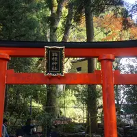 箱根神社の写真・動画_image_203665