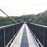 つつじ吊橋の写真・動画_image_205472
