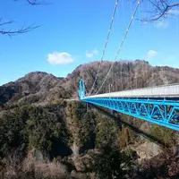 竜神大吊橋の写真・動画_image_213060
