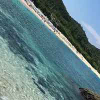 古座間味ビーチの写真・動画_image_213906