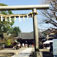 浅草神社（三社さま）の写真・動画_image_216692