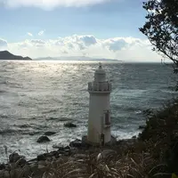 伊良湖岬自然散策路の写真・動画_image_217156